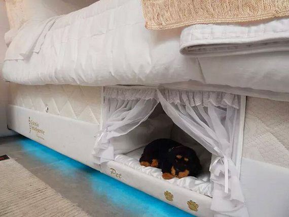 sleep_pet_together