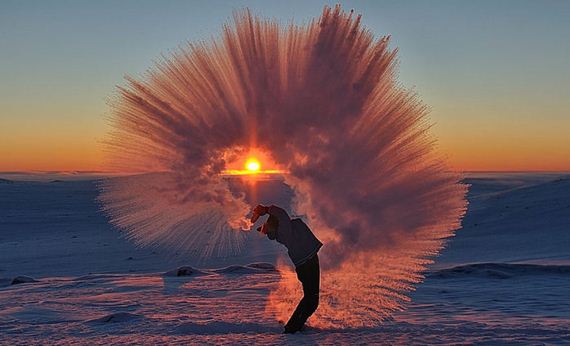 tossed_tea_arctic