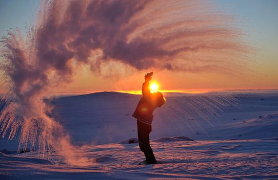 tossed_tea_arctic