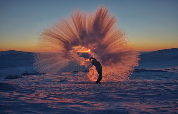 tossed_tea_arctic