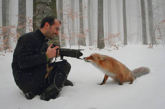 wildlife_photographers
