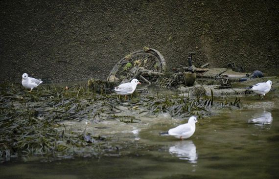 canal_saint_martin