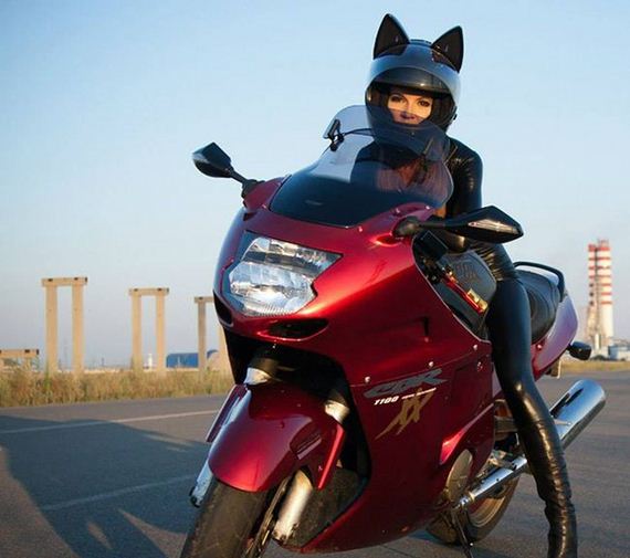 cat_helmets
