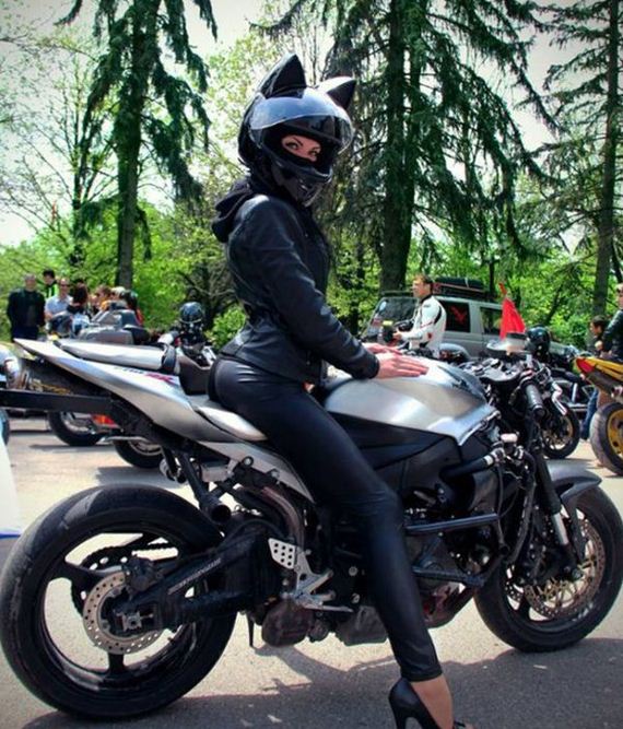 cat_helmets