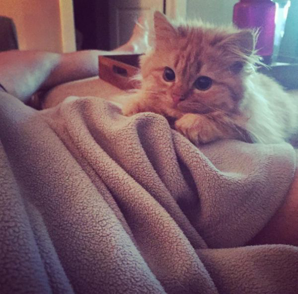 couple-adopts-adorable