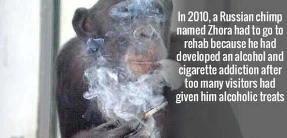 fun_facts