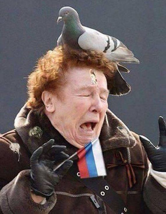 funny-pictures-1139