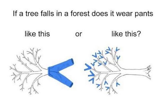 funny-pictures-1139