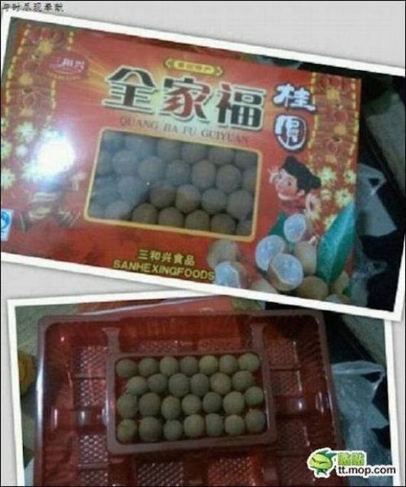 funny-pictures-1139