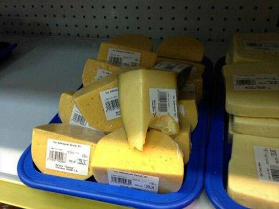 funny-pictures-1139