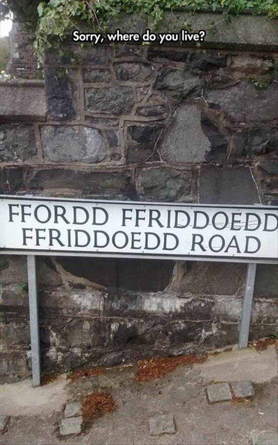 funny-pictures-1139
