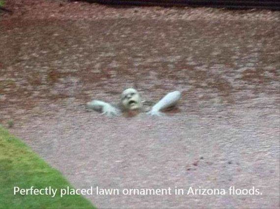 funny-pictures-1139
