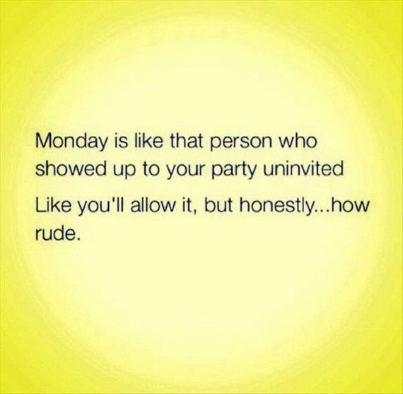 funny-pictures-1140