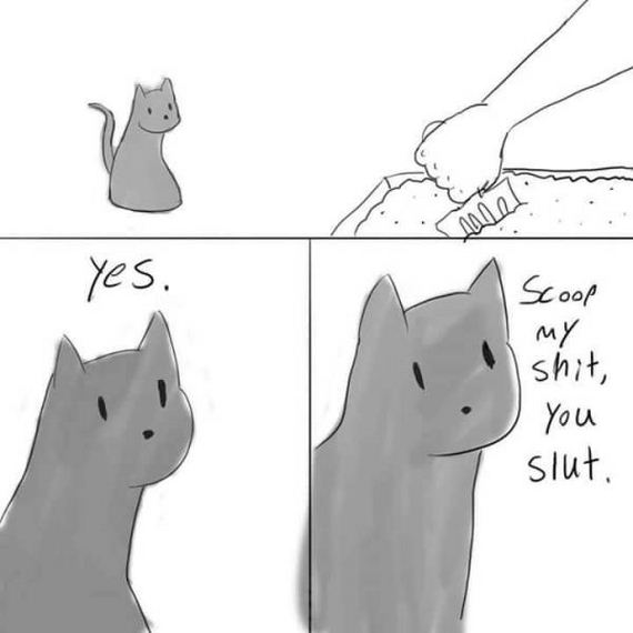 funny-pictures-1140