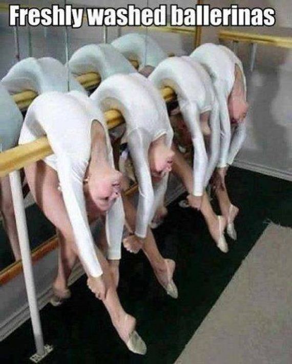 funny-pictures-1140