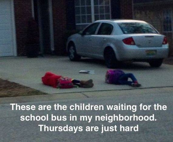 funny-pictures-1143