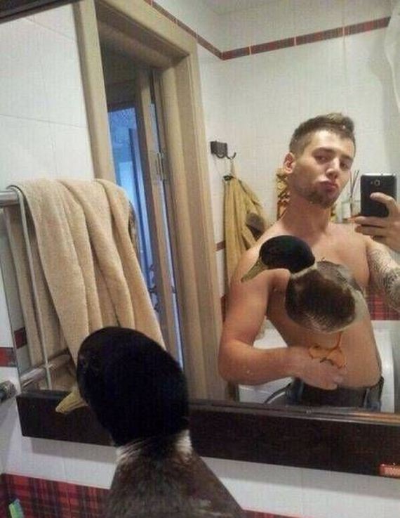funny-pictures-1145