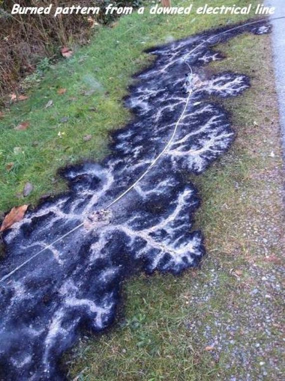 funny-pictures-1145
