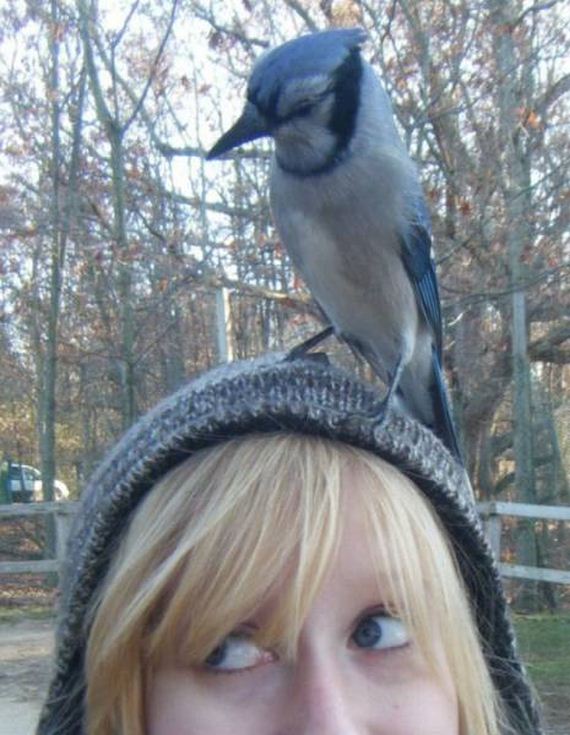 funny-pictures-1145
