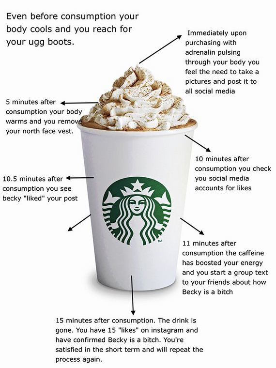 funny-pictures-1147