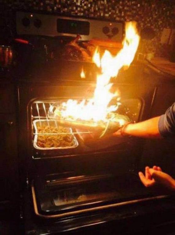 funny-pictures-1150