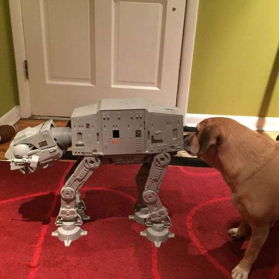 funny-pictures-1150