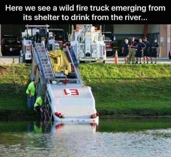funny-pictures-1151