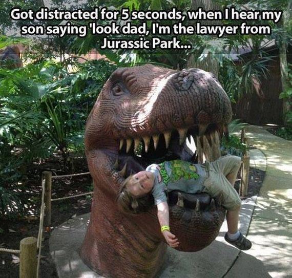 funny-pictures-1151