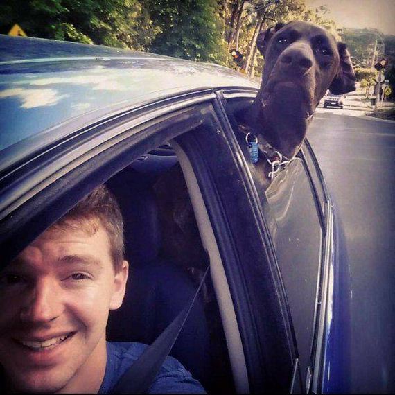 funny-pictures-1152