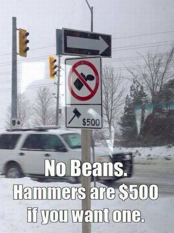 funny-pictures-1155