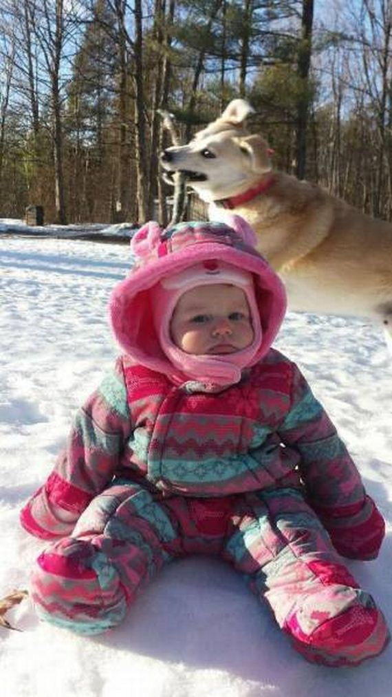 funny-pictures-1156