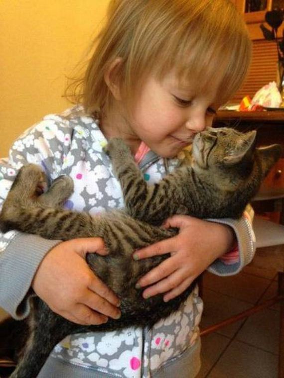 funny-pictures-1156