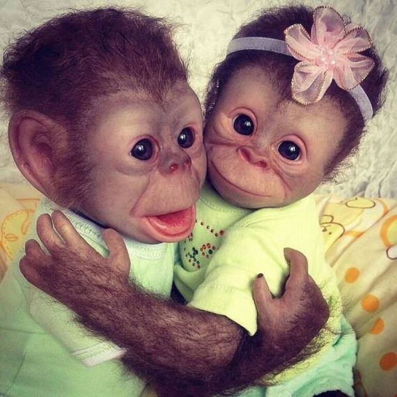 funny-pictures-1156