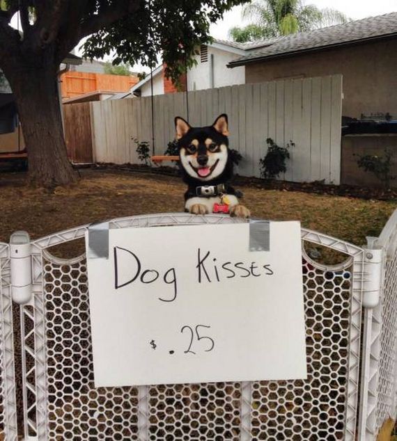 funny-pictures-1158