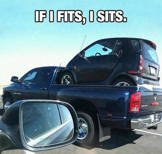 funny-pictures-1158
