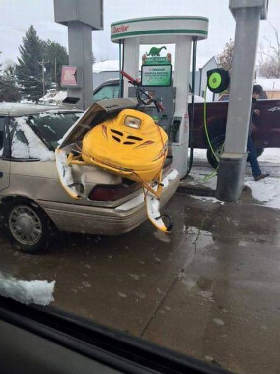 funny-pictures-1158