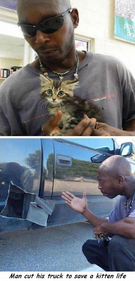 funny-pictures-1158