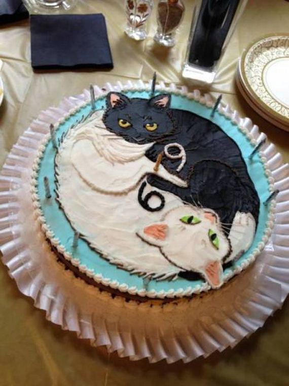 funny-pictures-1158