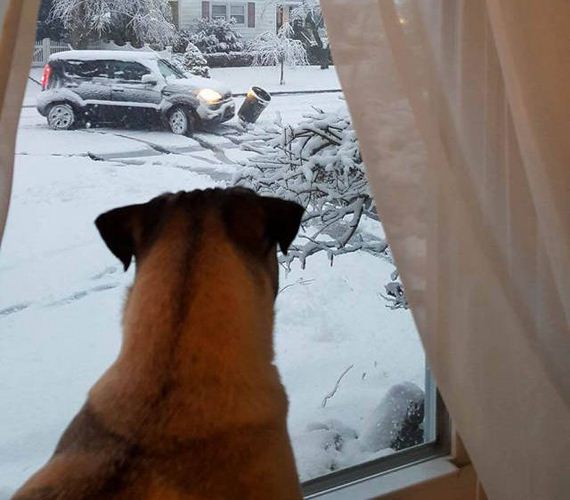 funny-pictures-1160