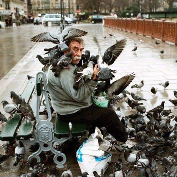 funny-pictures-1160
