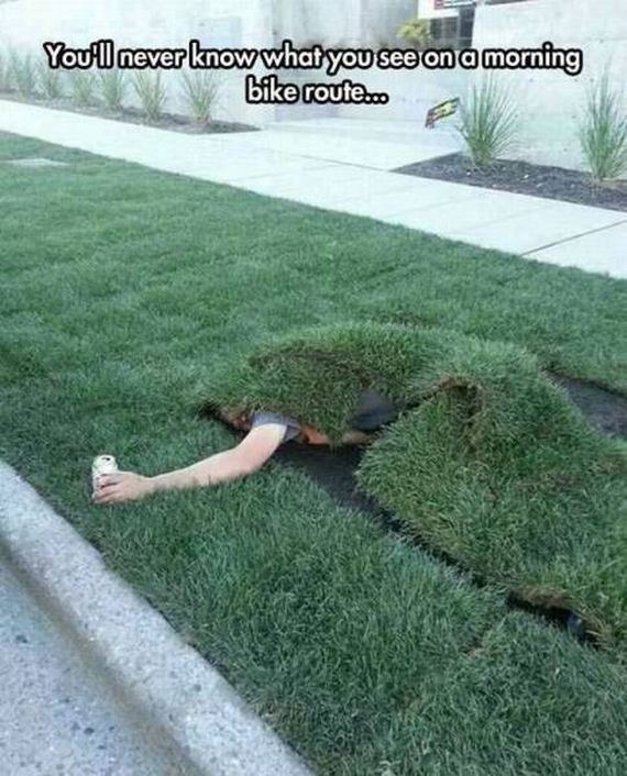 funny-pictures-1160