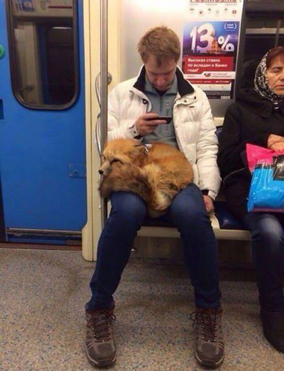 funny-pictures-1160