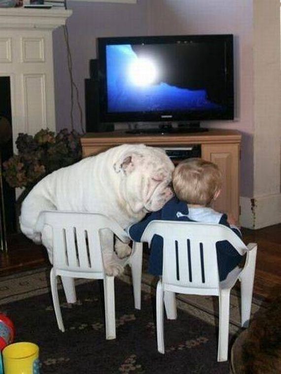 funny-pictures-1161