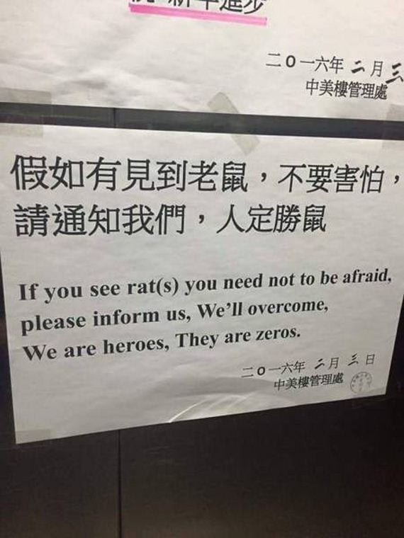 funny-pictures-1161