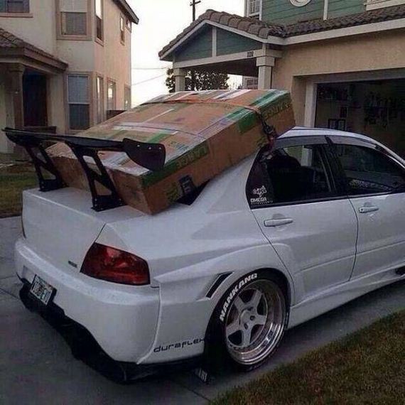 funny-pictures-1164