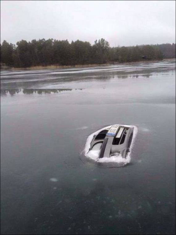 funny-pictures-1164