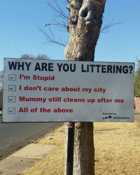 funny-pictures-1164