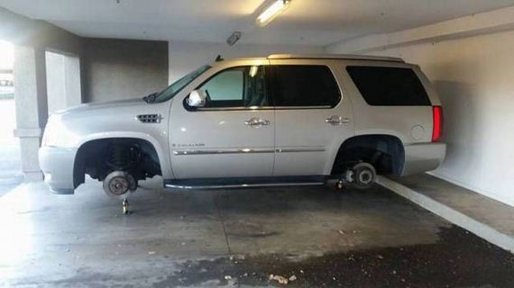 funny-pictures-1168