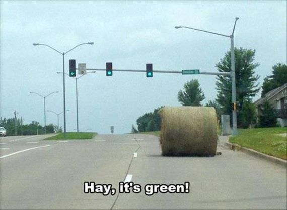 funny-pictures-1168