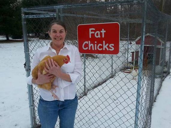 funny-pictures-1170